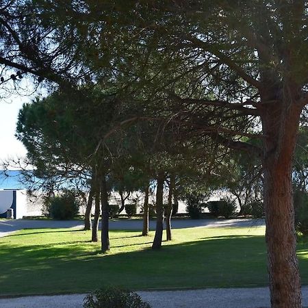 Le Byblos 9 - Vue Mer - Climatisation Plage dʼArgelès エクステリア 写真